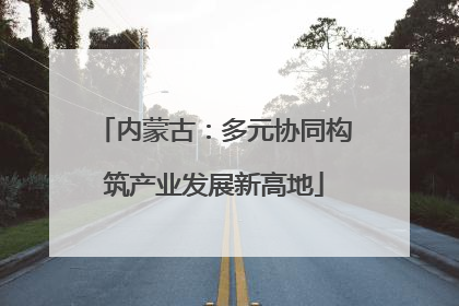 内蒙古：多元协同构筑产业发展新高地