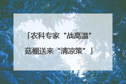 农科专家“战高温” 菇棚送来“清凉策”