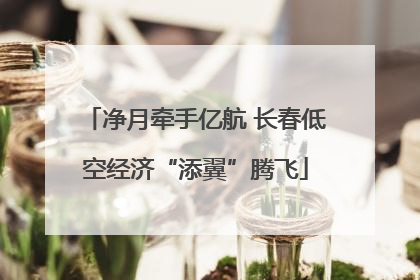 净月牵手亿航 长春低空经济“添翼”腾飞