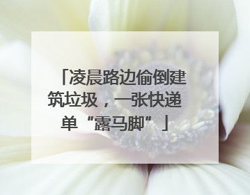 凌晨路边偷倒建筑垃圾，一张快递单“露马脚”