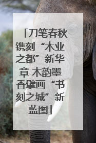 刀笔春秋镌刻“木业之都”新华章 木韵墨香擘画“书刻之城”新蓝图