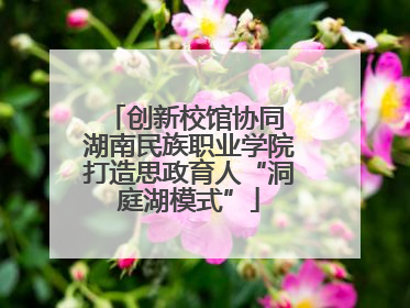 创新校馆协同 湖南民族职业学院打造思政育人“洞庭湖模式”