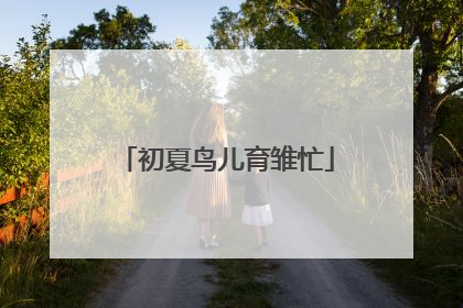 初夏鸟儿育雏忙