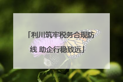 利川筑牢税务合规防线 助企行稳致远