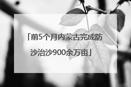前5个月内蒙古完成防沙治沙900余万亩