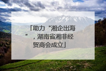 助力“湘企出海”，湖南省湘非经贸商会成立