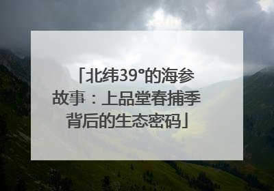 北纬39°的海参故事：上品堂春捕季背后的生态密码