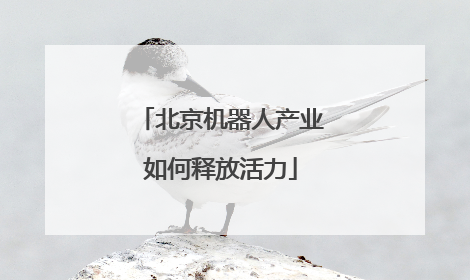 北京机器人产业如何释放活力