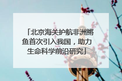 北京海关护航非洲鳉鱼首次引入我国，助力生命科学前沿研究
