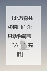 北方森林动物园百余只动物萌宝“六一”亮相