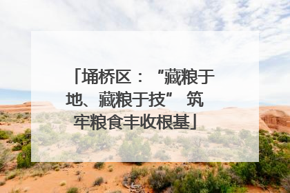埇桥区：“藏粮于地、藏粮于技” 筑牢粮食丰收根基