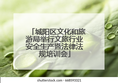 城阳区文化和旅游局举行文旅行业安全生产暨法律法规培训会