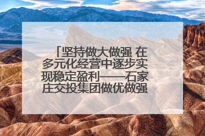 坚持做大做强 在多元化经营中逐步实现稳定盈利——石家庄交投集团做优做强典型报道之三