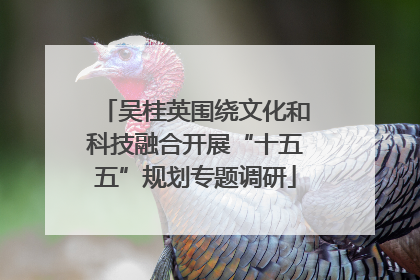 吴桂英围绕文化和科技融合开展“十五五”规划专题调研