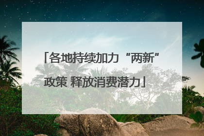 各地持续加力“两新”政策 释放消费潜力