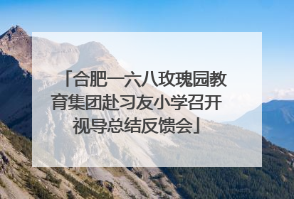 合肥一六八玫瑰园教育集团赴习友小学召开视导总结反馈会
