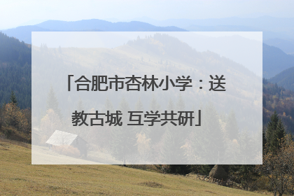 合肥市杏林小学：送教古城 互学共研