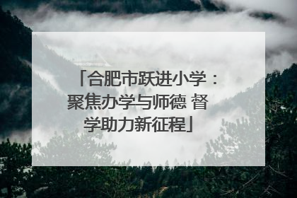 合肥市跃进小学：聚焦办学与师德 督学助力新征程