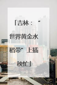 吉林：“世界黄金水稻带”上插秧忙