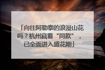 向往阿勒泰的浪漫山花吗？杭州藏着“同款”，已全面进入盛花期