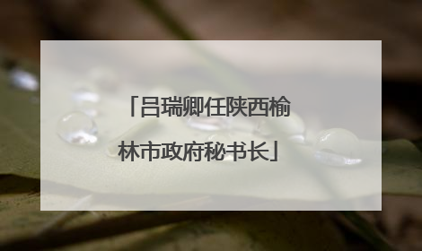 吕瑞卿任陕西榆林市政府秘书长