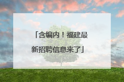 含编内！福建最新招聘信息来了
