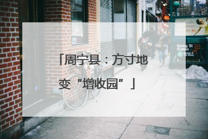 周宁县：方寸地变“增收园”