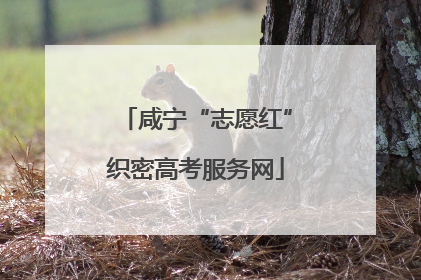 咸宁“志愿红”织密高考服务网