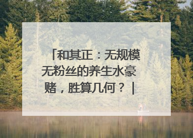 和其正：无规模无粉丝的养生水豪赌，胜算几何？｜品牌观察