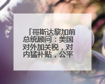哥斯达黎加前总统顾问：美国对外加关税，对内猛补贴，公平吗？