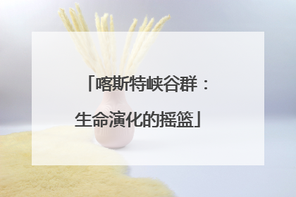 喀斯特峡谷群：生命演化的摇篮