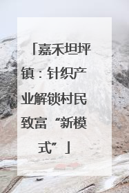 嘉禾坦坪镇：针织产业解锁村民致富“新模式”