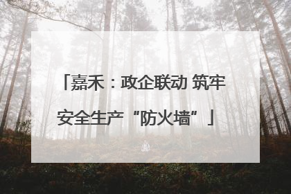 嘉禾：政企联动 筑牢安全生产“防火墙”