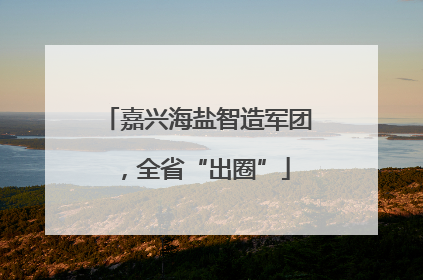 嘉兴海盐智造军团，全省“出圈”