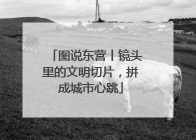 图说东营丨镜头里的文明切片，拼成城市心跳
