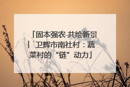 固本强农 共绘新景 ︳卫辉市南社村：蔬菜村的“链”动力