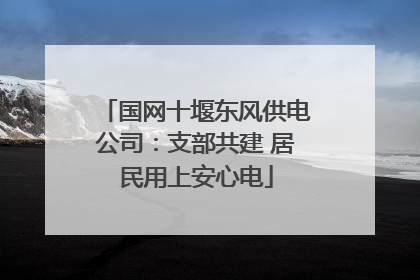 国网十堰东风供电公司：支部共建 居民用上安心电