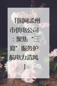 国网孟州市供电公司：聚焦“三夏”服务护航电力清风