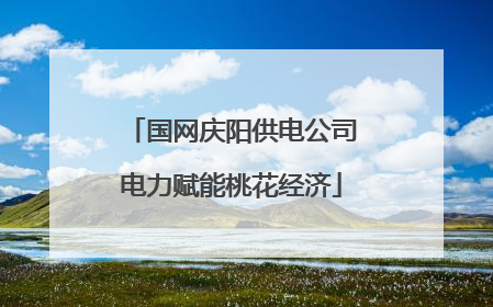 国网庆阳供电公司电力赋能桃花经济