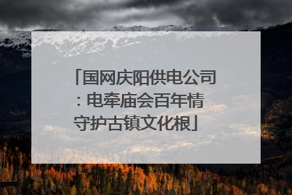 国网庆阳供电公司：电牵庙会百年情 守护古镇文化根