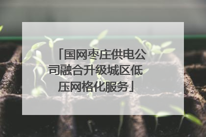 国网枣庄供电公司融合升级城区低压网格化服务
