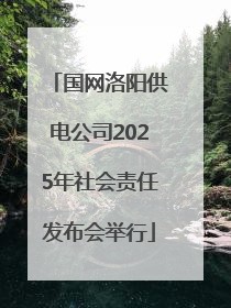 国网洛阳供电公司2025年社会责任发布会举行