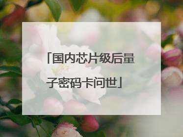 国内芯片级后量子密码卡问世