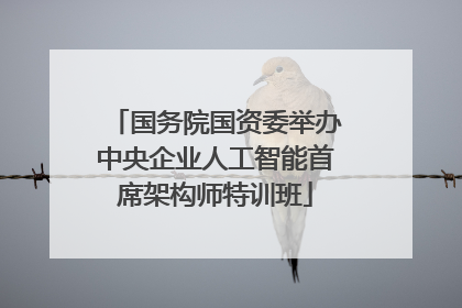 国务院国资委举办中央企业人工智能首席架构师特训班