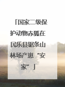 国家二级保护动物赤狐在民乐县锯条山林场产崽“安家”