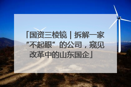 国资三棱镜｜拆解一家“不起眼”的公司，窥见改革中的山东国企