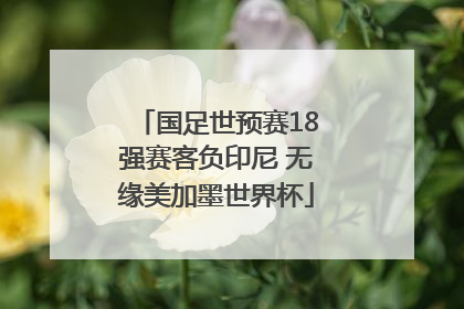 国足世预赛18强赛客负印尼 无缘美加墨世界杯
