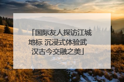 国际友人探访江城地标 沉浸式体验武汉古今交融之美