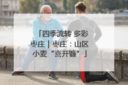 四季流转 多彩枣庄｜枣庄：山区小麦“喜开镰”