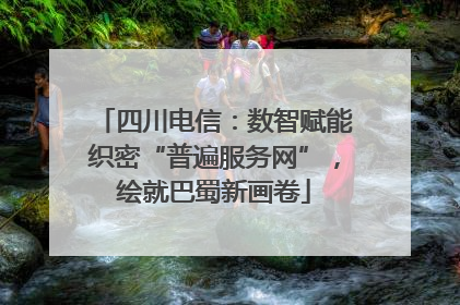 四川电信：数智赋能织密“普遍服务网”，绘就巴蜀新画卷